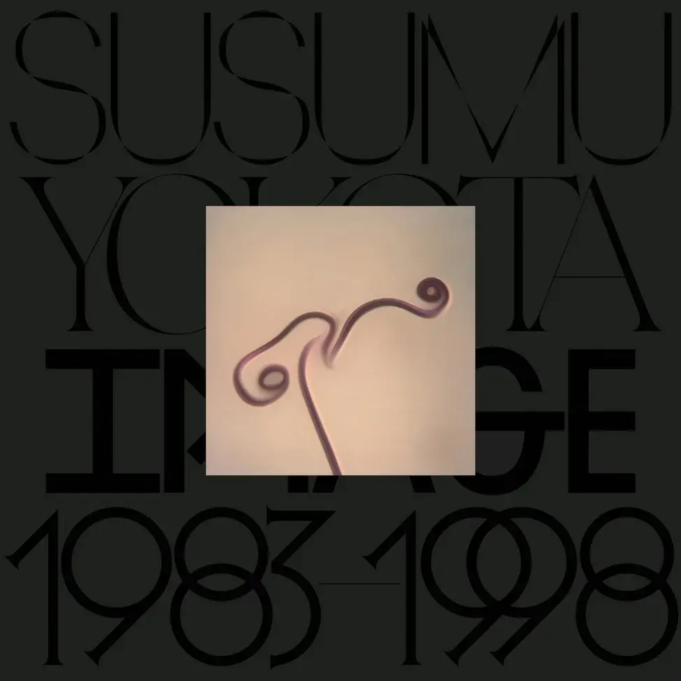 New Vinyl Susumu Yokota - Image 1983-1998 (Skintone Edition) LP