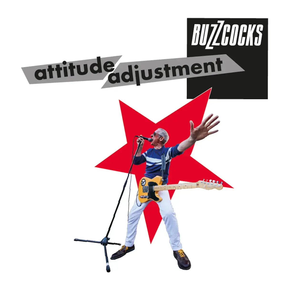 New Vinyl Buzzcocks - Attitude Adjustment LP