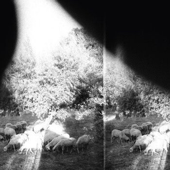 New Vinyl Godspeed You! Black Emperor - Asunder, Sweet And Other Distress (180g) LP