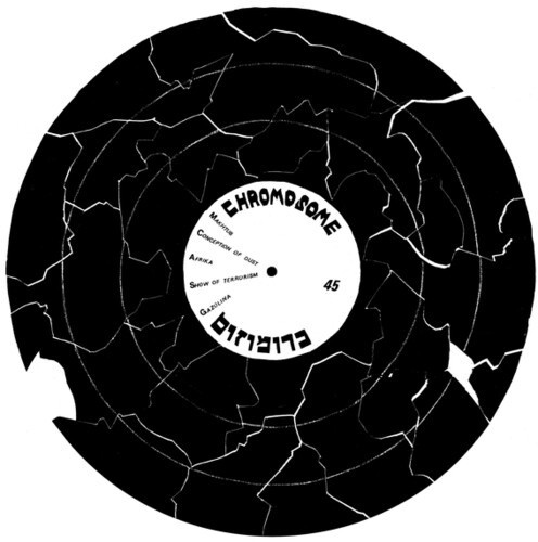 New Vinyl Chromosome - Chromosome 12"