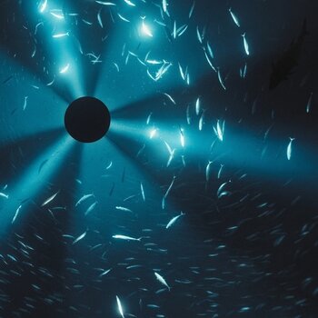 New Vinyl Laurel Halo - Midnight Zone OST [Import] LP