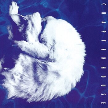 New Vinyl Chapterhouse - Whirlpool  (Limited, Marbled White, Black) [Import] LP