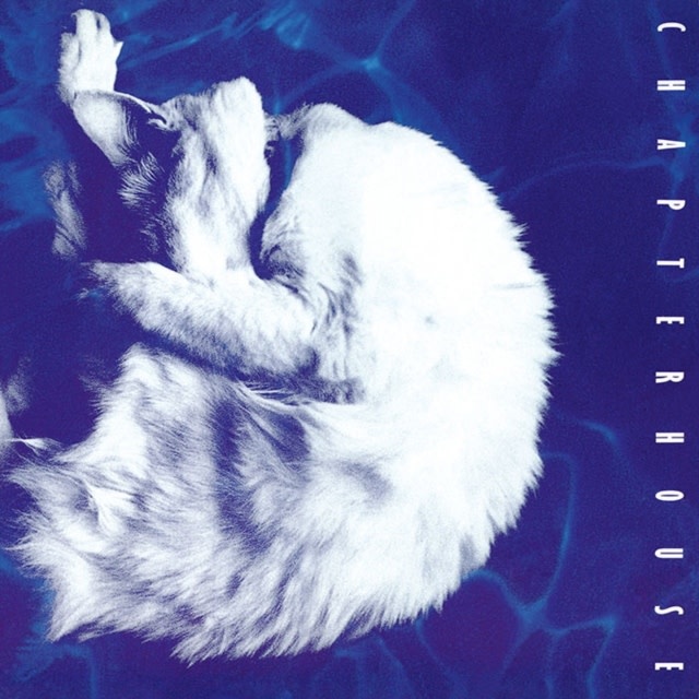 New Vinyl Chapterhouse - Whirlpool  (Limited, Marbled White, Black) [Import] LP