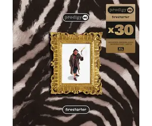 Prodigy - Firestart x30 12