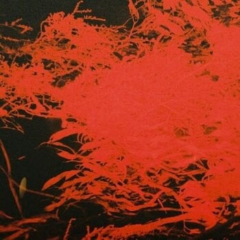 New Vinyl Anthony Naples - In Studio Magic LP