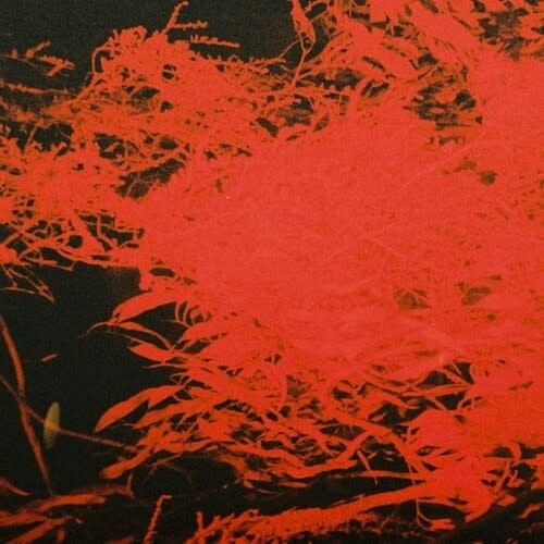 New Vinyl Anthony Naples - In Studio Magic LP