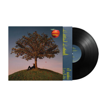 New Vinyl Slowthai - TYRON LP