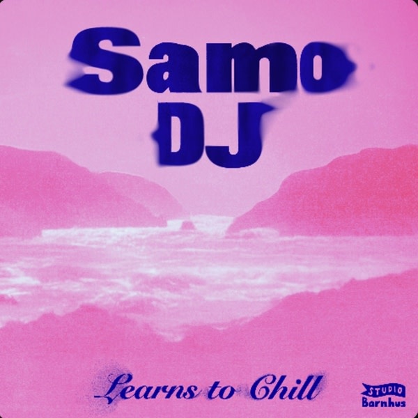 New Vinyl Samo DJ - Learns To Chill LP