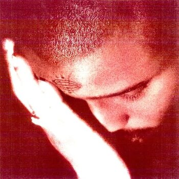 New Vinyl Nourished by Time - The Passionate Ones LP