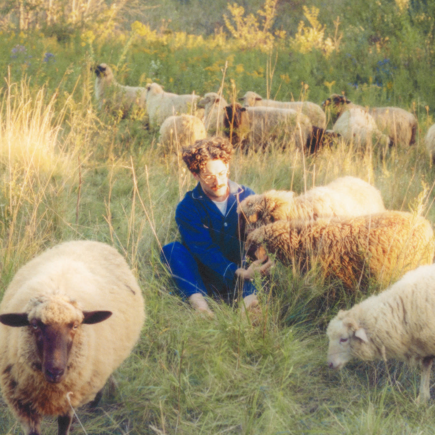 New Vinyl Resavoir -Themes for Dreams LP