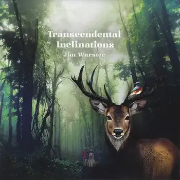 New Vinyl Jim Wurster - Transcendental Inclinations (Limited) LP