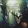 New Vinyl Jim Wurster - Transcendental Inclinations (Limited) LP