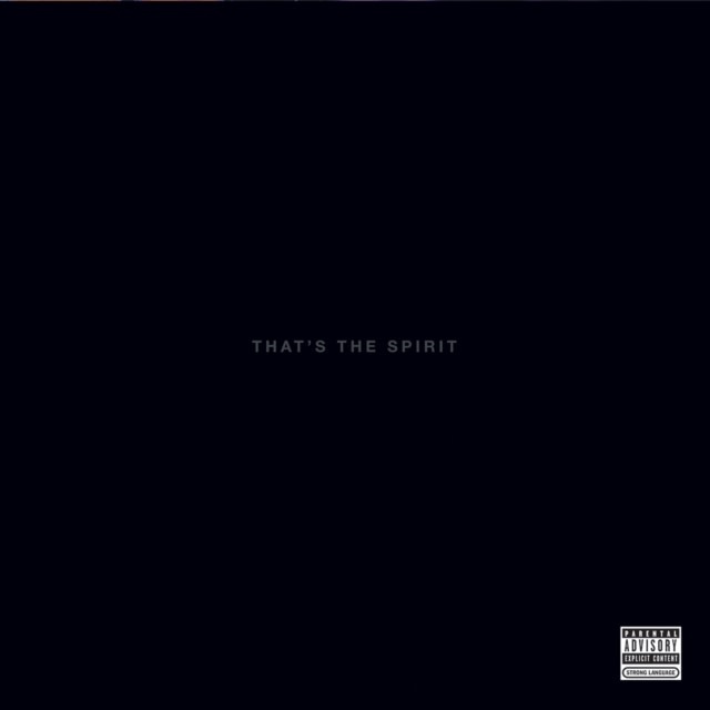New Vinyl Bring Me the Horizon -That's The Spirit LP