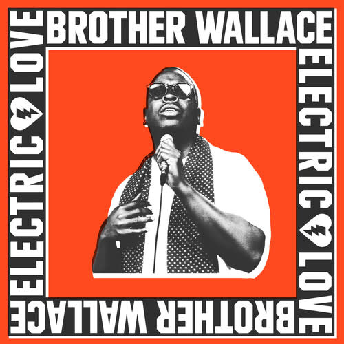 New Vinyl Brother Wallace - Electric Love LP