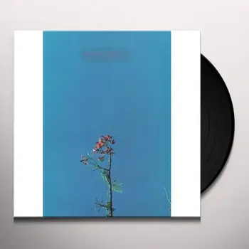 New Vinyl Joanna Newsom - The Ys Street Band EP