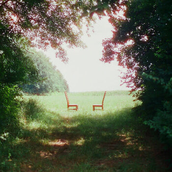 New Vinyl Ratboys - Singin' to an Empty Chair (IEX, Green/Brown) 2LP