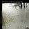 New Vinyl Bon Iver - For Emma, Forever Ago (ReVINYL Edition, Recycled, Random Color) LP