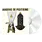 New Vinyl Angine De Poitrine - Vol. I CD