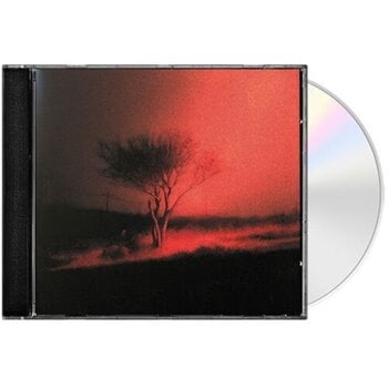 Joji - Piss In The Wind CD