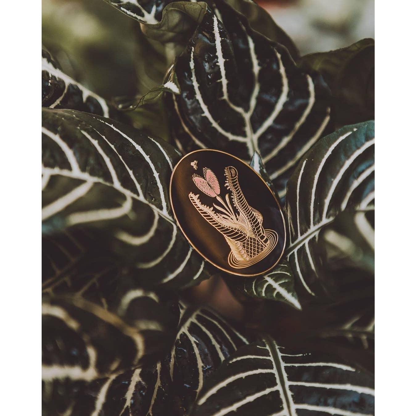 Enamel Pin Alligator Venus Fly Trap Large Enamel Pin