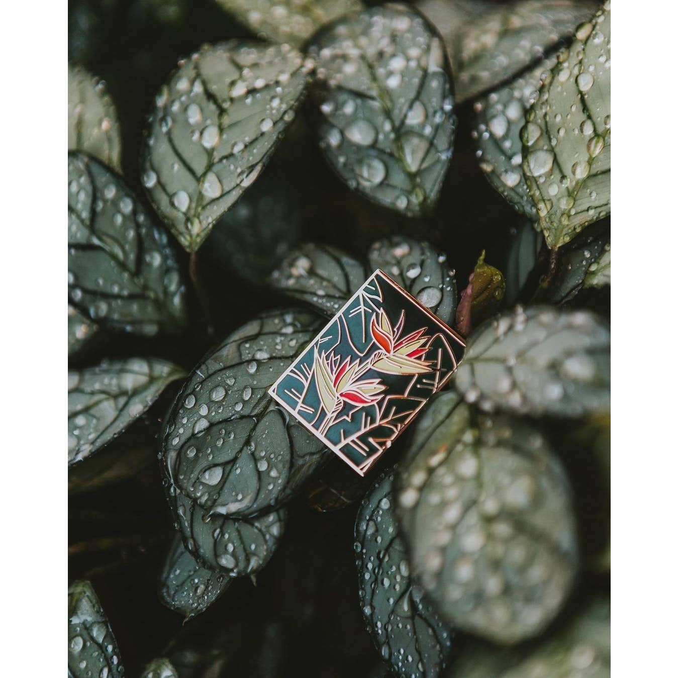 Enamel Pin Birds of Paradise Enamel Pin
