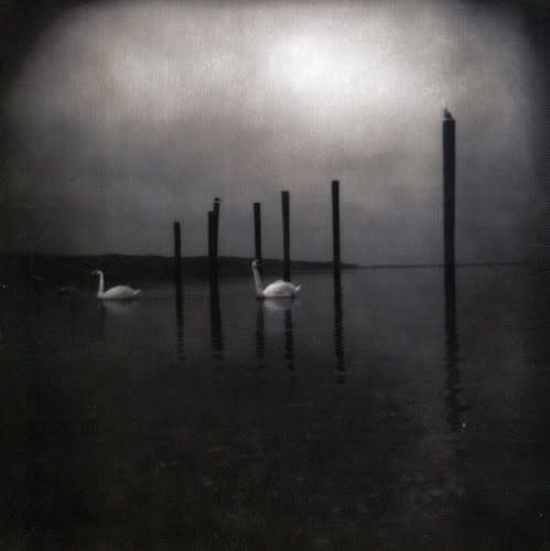 New Vinyl OM - Conference Of The Birds LP