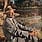 New Vinyl Horace Silver - Song For My Father (Blue Note Essentials Series) LP