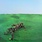 New Vinyl Squid - Bright Green Field 2LP
