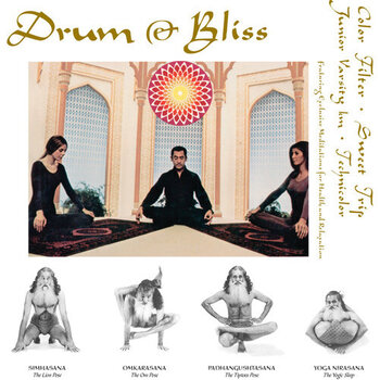 New Vinyl Various - Drum & Bliss LP