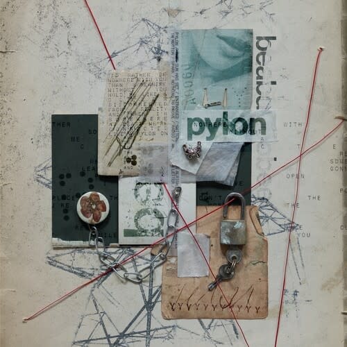 New Vinyl beabadoobee - Pylon (IEX, Gray) LP