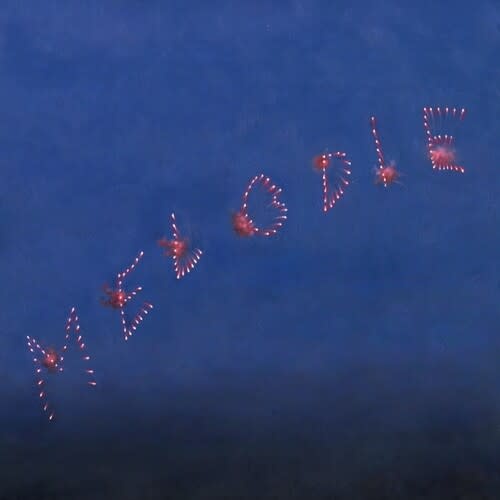 New Vinyl Slow Pulp - Melodie (IEX, Clear Blue) LP