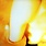 New Vinyl Smashing Pumpkins - Pisces Iscariot (180g) LP