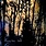 New Vinyl Mazzy Star - Still EP