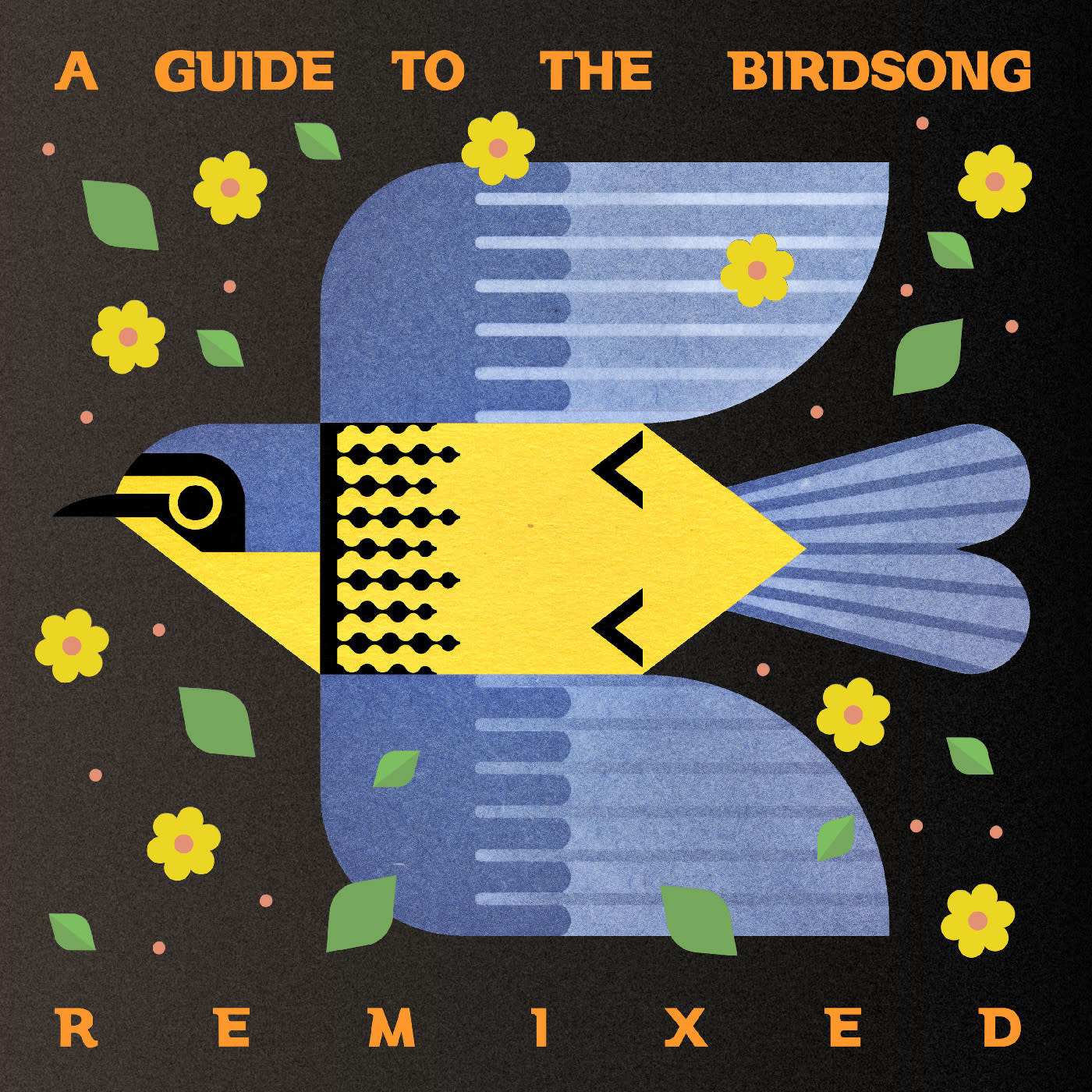 New Vinyl Various - A Guide to the Birdsong Remixed (180g) LP