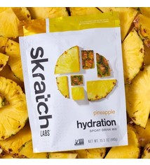 EXERCISE HYDRATION MIX - PINEAPPLE (440G)