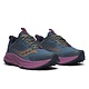 Saucony Women's Ride TR2 GTX