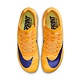 Nike Zoom Rival Sprint