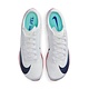 Nike Air Zoom Maxfly 2