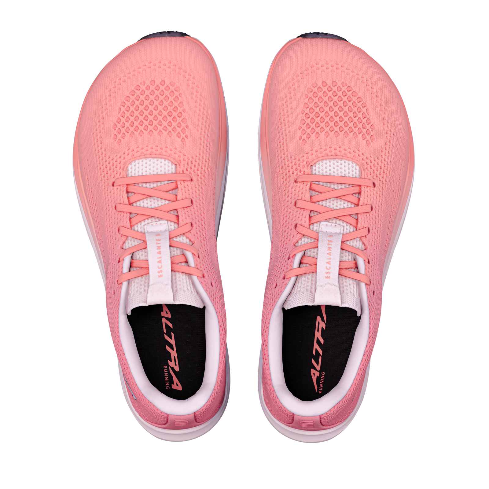 Women's Escalante 5
