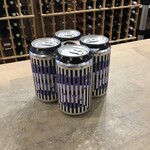 'Mirage City' IPA, Dageraad x Establishment 4x355ml 5%