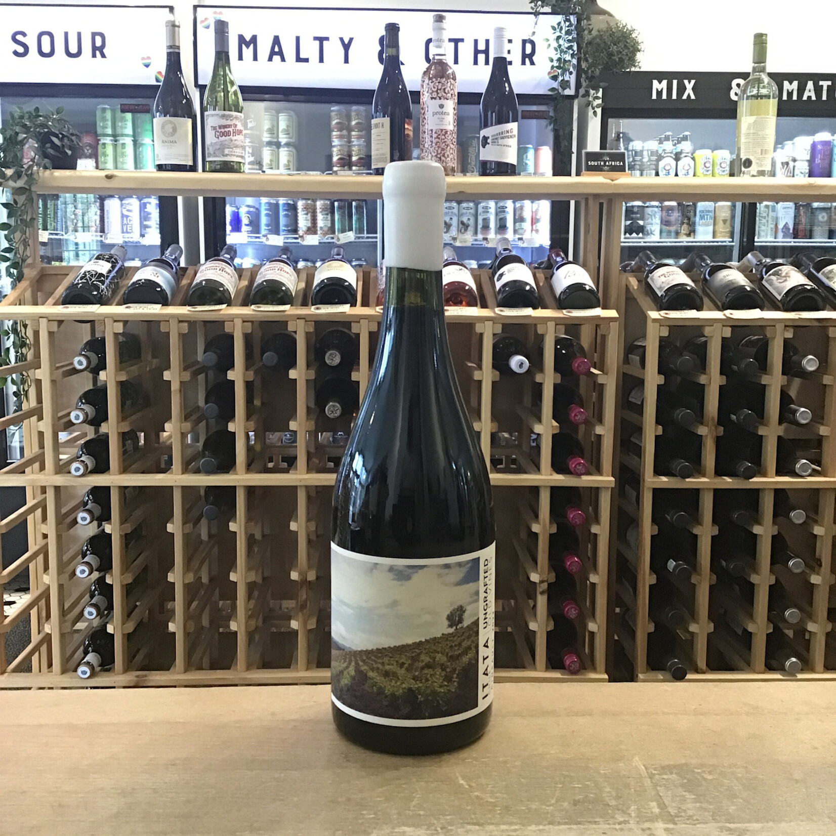 De Martino Ungrafted Cinsault 750ml 13%