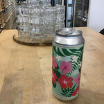 Ale Architect 'Hula Punch' NEIPA with Coconut, Ale Architect 473ml 7.0%