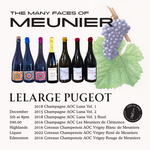 Vino Al Vino "The Many Faces of Meunier" Lelarge Pugeot Champagne tasting with Joe from Vino al Vino