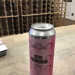 SYC Brewing 'Steve Brewschemi' Fruited Sour, SYC 473ml 4%