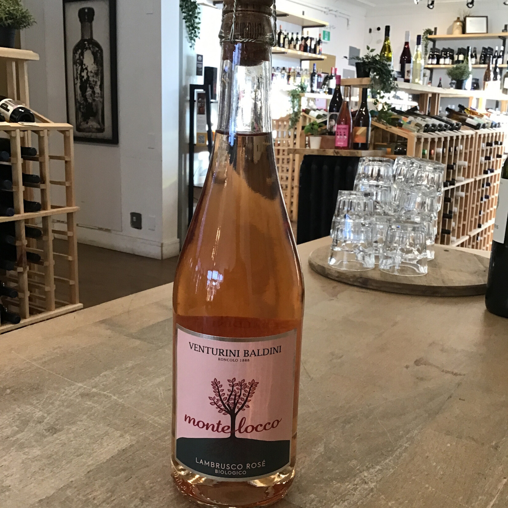 Venturing Baldini, 'Montelocco' Lambrusco Rosato DOC 750ml 11.0%