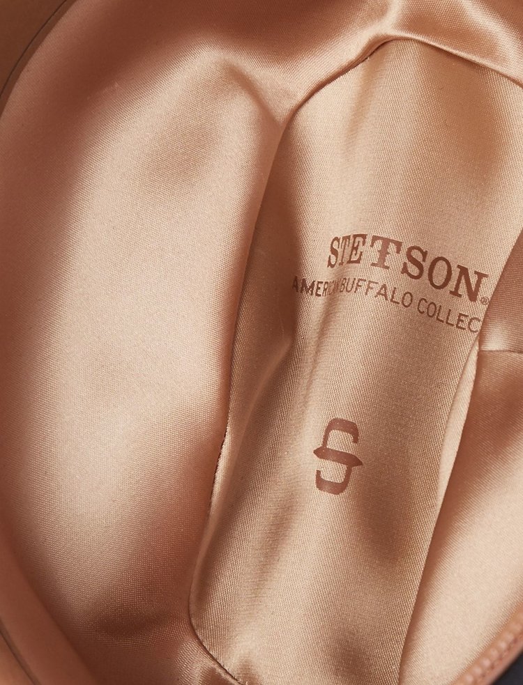 Corral Bison Felt Cowboy Hat STETSON