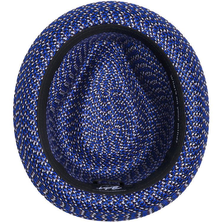 Mannes Crushable Water-Resistant Straw Hat BAILEY