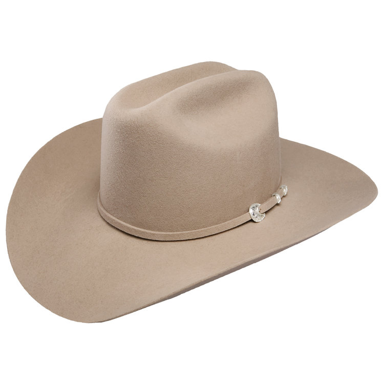 Corral Bison Felt Cowboy Hat STETSON