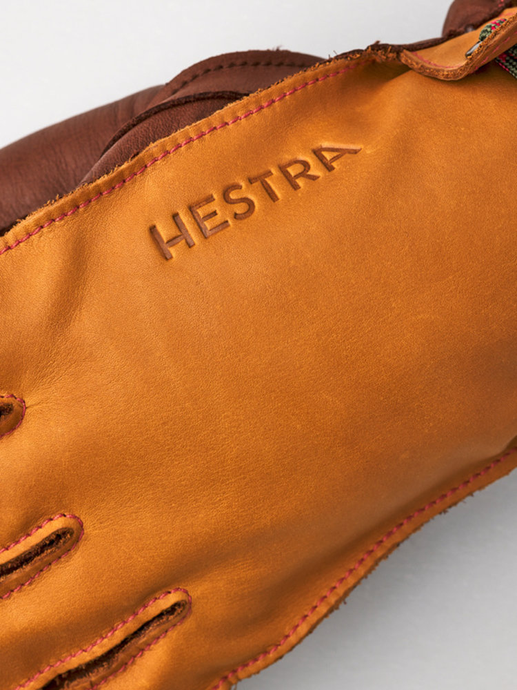 Wakayama HESTRA Alpine Leather Gloves