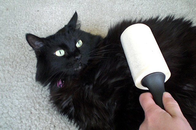 Black Cat and Clothes Adhesive Roller